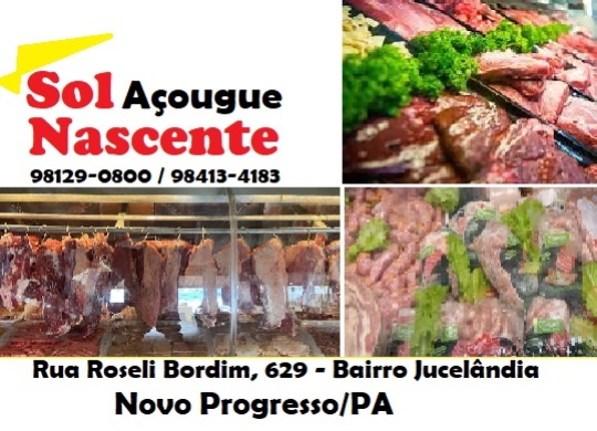 AÇOUGUE SOL NASCENTE Novo Progresso PA