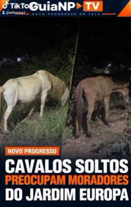 foto Not&iacute;cia Novo Progresso