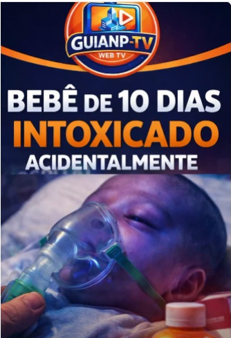 foto Not&iacute;cia Novo Progresso