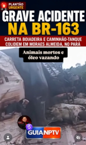 foto Not&iacute;cia Novo Progresso