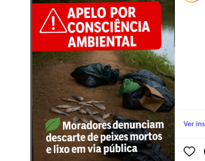 foto Not&iacute;cia Novo Progresso