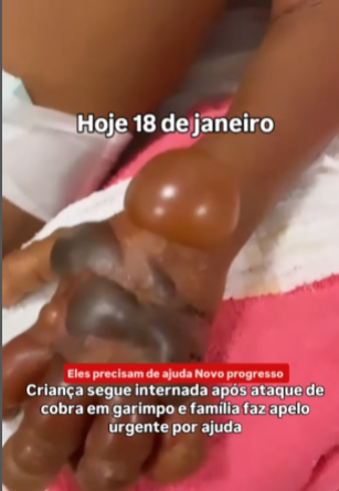 foto Not&iacute;cia Novo Progresso