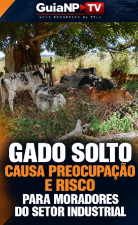 foto Not&iacute;cia Novo Progresso
