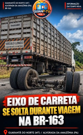 foto Not&iacute;cia Novo Progresso