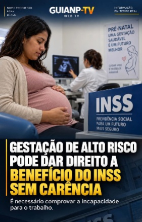 foto Not&iacute;cia Novo Progresso