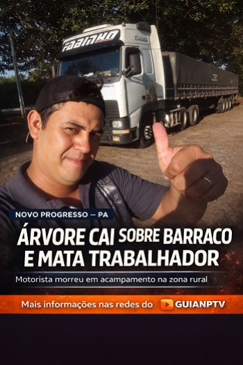 foto Not&iacute;cia Novo Progresso