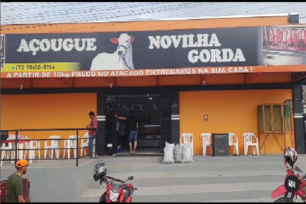 NOVILHA GORDA Novo Progresso PA