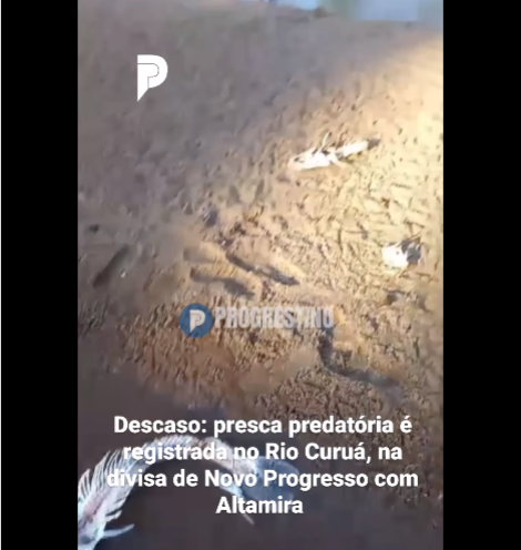foto Notícia Novo Progresso