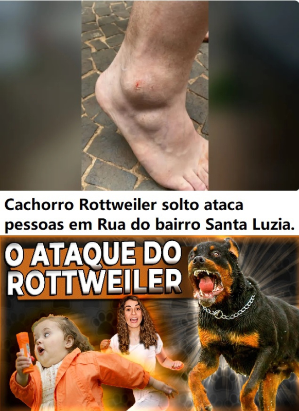 foto Not&iacute;cia Novo Progresso