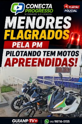 foto Not&iacute;cia Novo Progresso