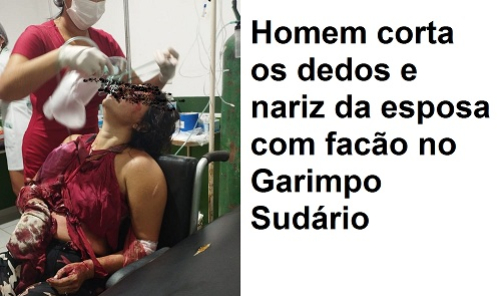 foto Notícia Novo Progresso