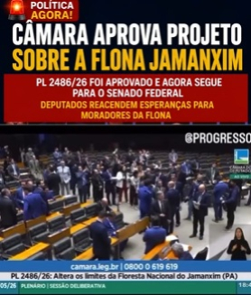 foto Not&iacute;cia Novo Progresso