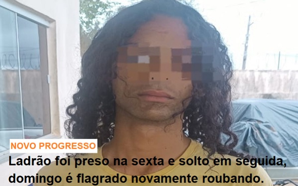 foto Notícia Novo Progresso