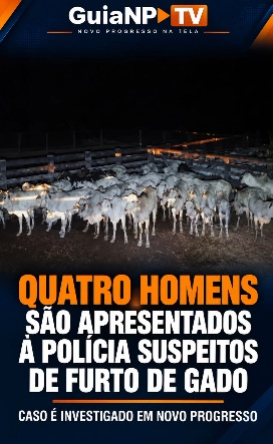 foto Not&iacute;cia Novo Progresso