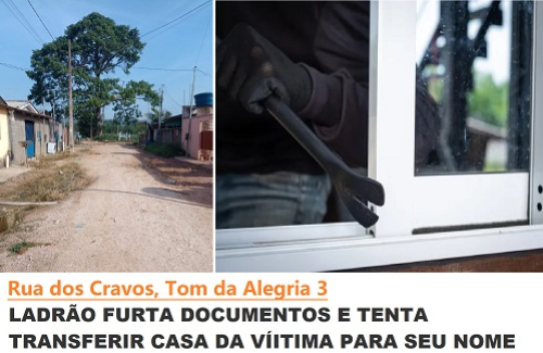 foto Not&iacute;cia Novo Progresso