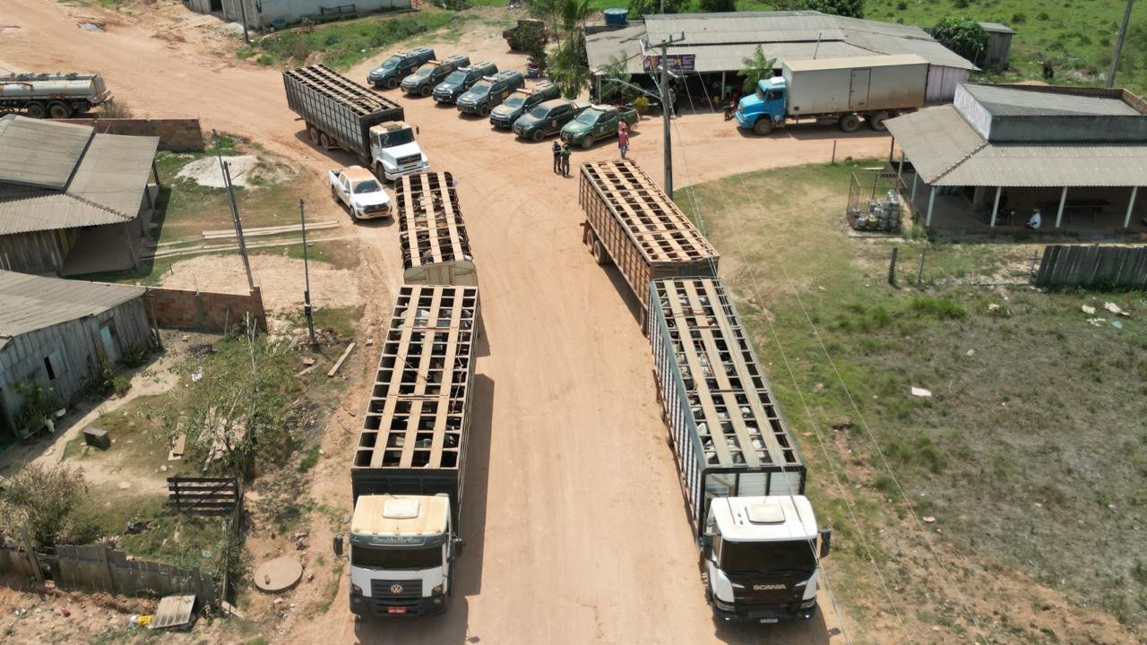 foto Not&iacute;cia Novo Progresso