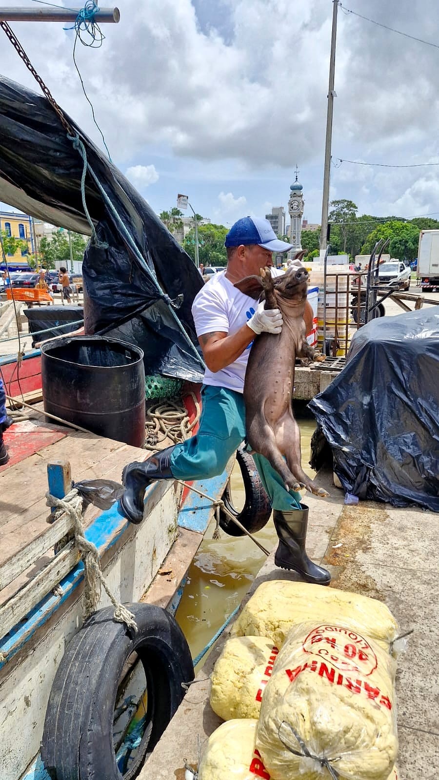 foto Not&iacute;cia Novo Progresso