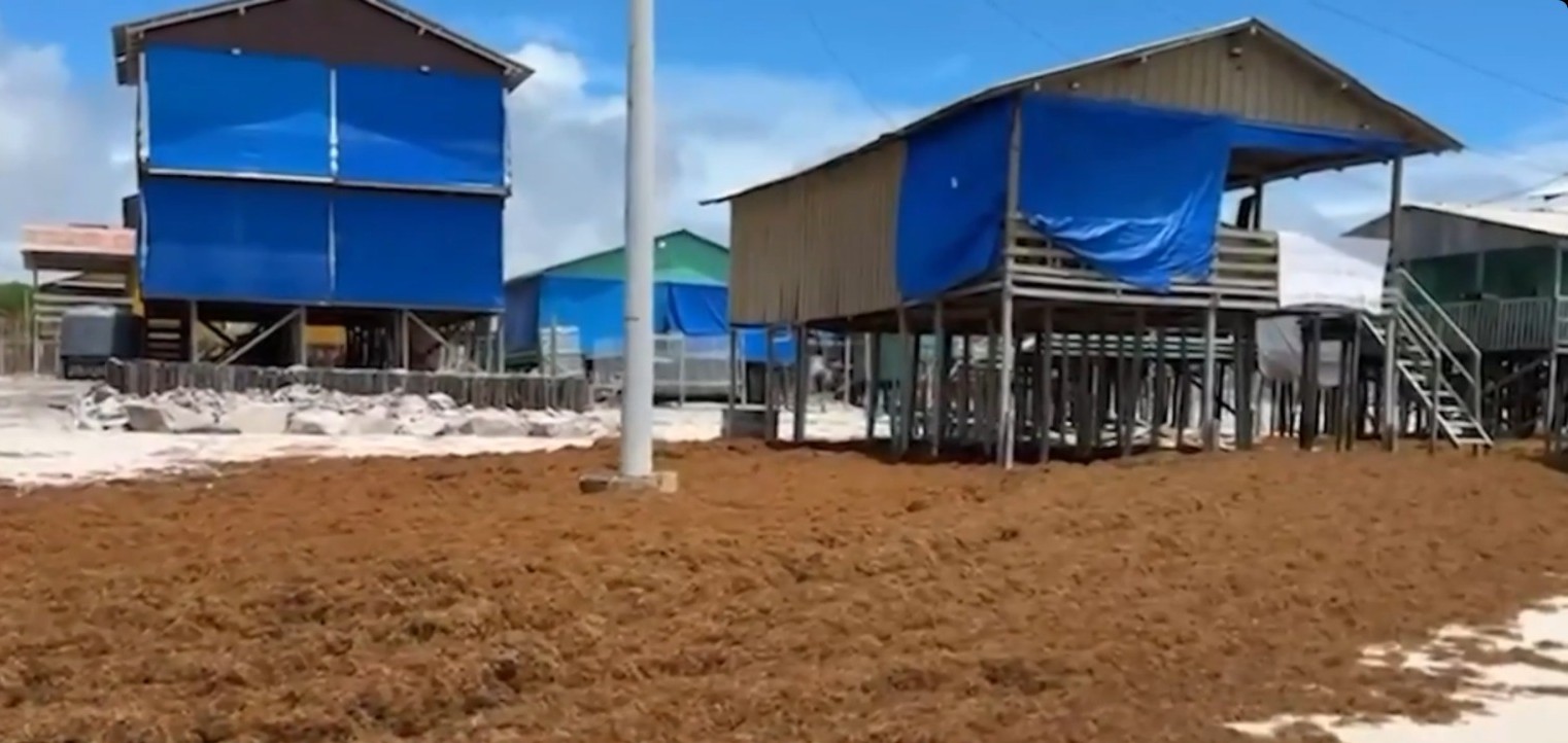 foto Not&iacute;cia Novo Progresso