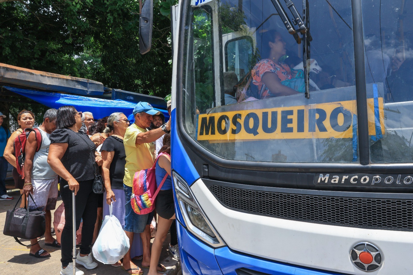 foto Not&iacute;cia Novo Progresso