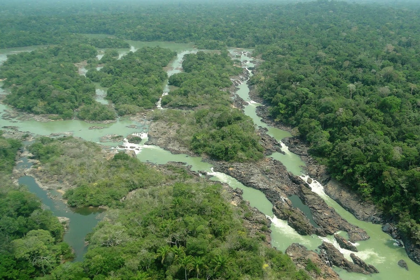 foto Not&iacute;cia Novo Progresso